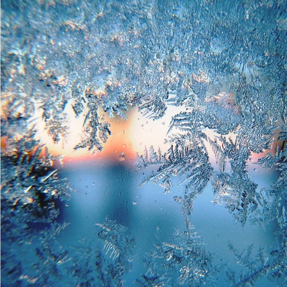 Happy Autumn into Winter!🌷 - Picture 12 of 16